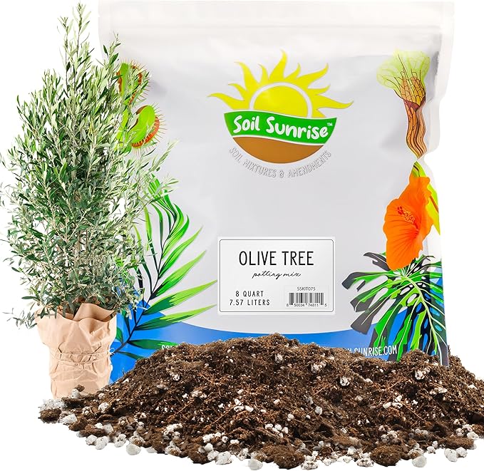 Soil Sunrise Olive Tree Potting Soil Mix (8 Quarts) for Planting, Repotting, and Growing Olive Bushes/Plants