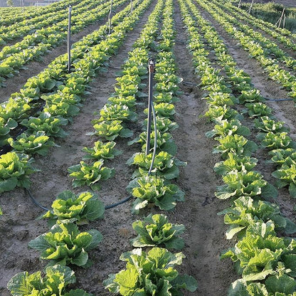 Cordless Tiller for Gardening 360 RPM Rototiller TH4000 Cultivator TaskStar Electric Garden Tiller Battery Powered Total 4000mAh,48 Heavy-Duty Steel Tines for Smooth Ground