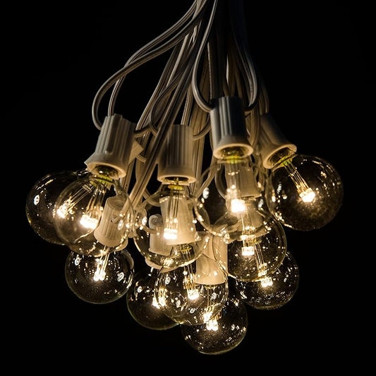 Hometown Evolution, Inc. LED Outdoor Globe String Lights (50 Foot, LED G40 Clear - White Wire - 1.6 Inch .6 Watt Bulbs)