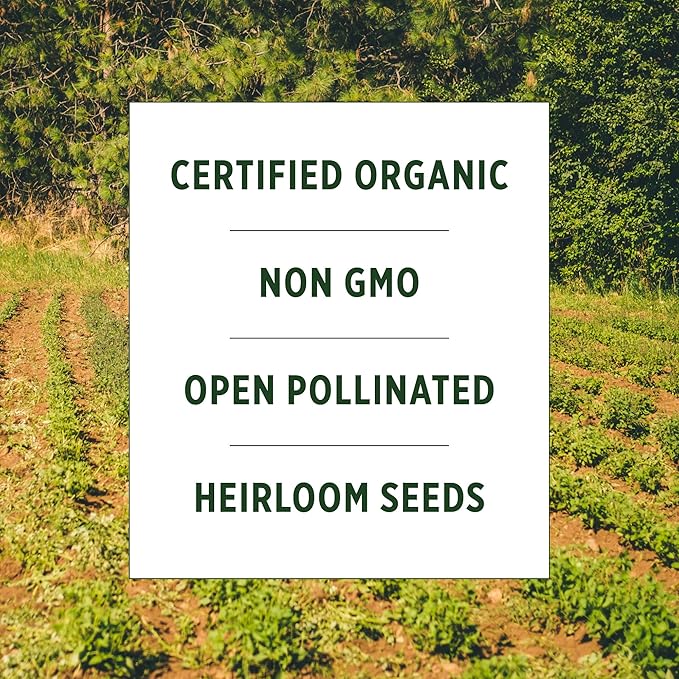 Banyan Botanicals Organic Sweetie Cherry Tomato Seeds – for Planting a Home Garden – Easy-to-Grow Sweet and Delicious Tomatoes – 25 Count – Open Pollinated Non-GMO Heirloom