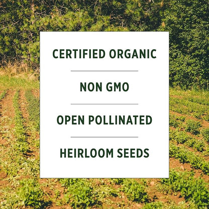 Banyan Botanicals Organic Cucumber Seeds – Heirloom Poona Khera (Cucumis Sativus) Seeds –Tender & Crisp for Eating or Pickling – 30 Count – Open Pollinated Non-GMO Easy-to-Grow