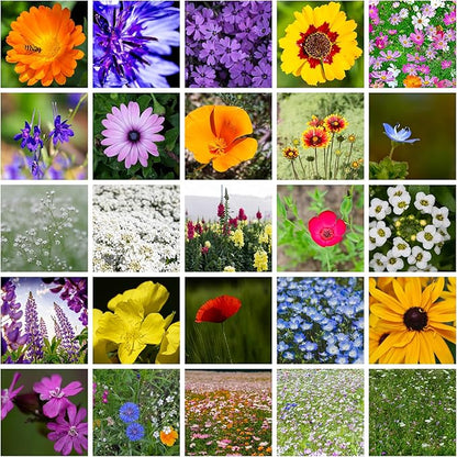 All Annual Wildflower Mix Seeds for Planting - 4 Oz ~4,000+ Seeds - 21 Varieties Including California, Indian Blanket, Scarlet Flax, & More - Attracts Pollinators - Bulk Wildflower Seed