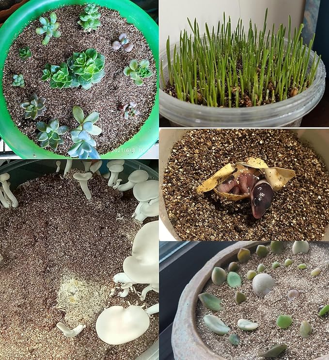 50 QT Professional Grade Horticultural Organic Vermiculite and Perlite (Vermiculite, 50 QT)