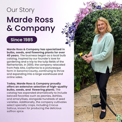 Red Flanders Poppy Seeds for Planting - 50,000+ Fresh Flower Seeds - Grown in The USA - Spring Blooming Wildflower