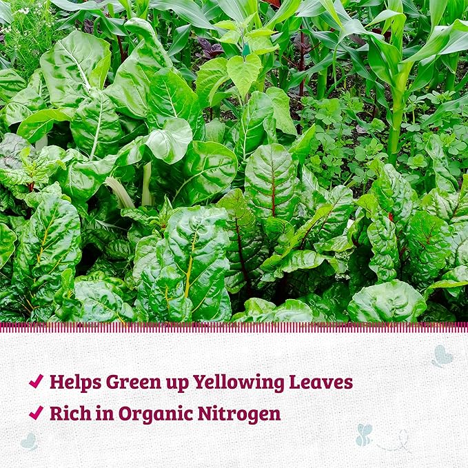 Back to The Roots 100% Organic Blood Meal | Made in The USA | Premium Nutrition for Indoor and Outdoor Plant Gardening