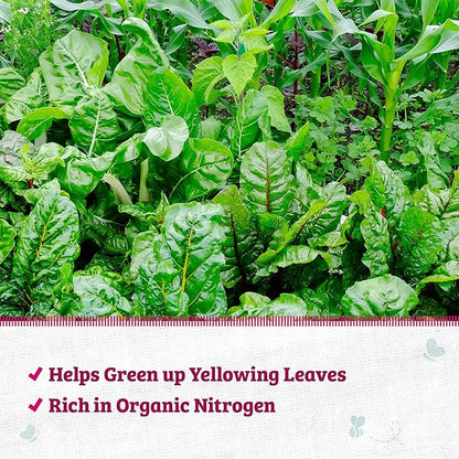 Back to The Roots 100% Organic Blood Meal | Made in The USA | Premium Nutrition for Indoor and Outdoor Plant Gardening