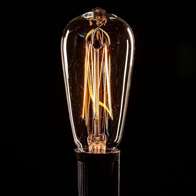 Hometown Evolution, Inc. Commercial Edison Bulb Outdoor String Lights with Hand-Threaded Filament (ST40 Lantern Edison - Commercial Black Wire, 25 ft)