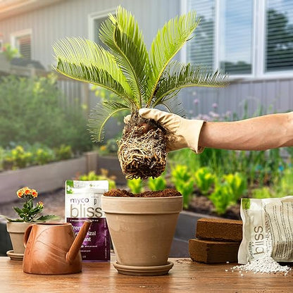 Myco Bliss Powder (1lb) - Mycorrhizal Fungi for Soil - 5 Strain Mycorrhizal Inoculant with 1000 Propagules Per Gram - Highly Concentrated Mycorrhizae for Plants, Potting Soil, & Garden Soil