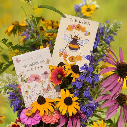 Bentley Seed Co. | Bee Kind Pollinator | Beautiful Bee Art | Environmental Favors Cards for Guests Seed Packets | Pollinator Wildflower Mix Seed Packets | Eco-Friendly Hand Out Gift | 25 Pack