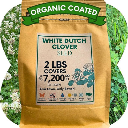 Flawn Seed White Dutch Clover Seeds, 2 Lbs, Organic Coated, Natural Lawn, Ground Cover, Food Plot, Zones 3-9, Covers up to 7,200 Sqft