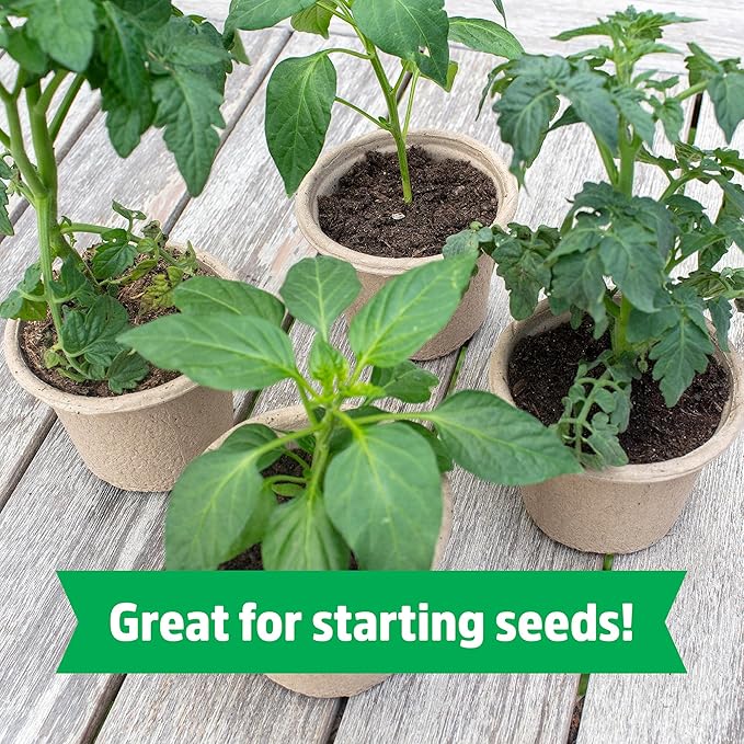 Back to The Roots Organic Seed Starting, Compressed Block expands to 12 Quarts, Made for Herbs, Veggies, Flowers