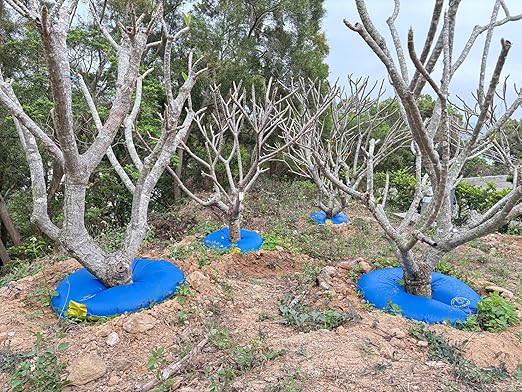 12+ Hours Slow Release Tree Watering Bag/Ring - 15 Gallon, by Discipline Essentials, Ideal for Newly Planted Trees and Shrubs (8-Pack)