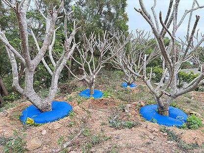 12+ Hours Slow Release Tree Watering Bag/Ring - 15 Gallon, by Discipline Essentials, Ideal for Newly Planted Trees and Shrubs (8-Pack)