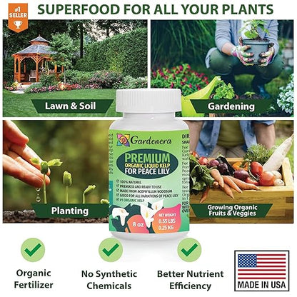 GARDENERA Premium Organic Seaweed & Kelp Superfood for Peace Lily Plants - 32 oz - Liquid Kelp Fertilizer Concentrate (Makes 180 Gallons)