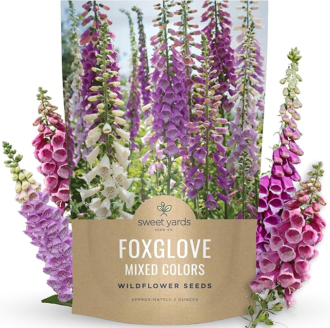Foxglove Mixed Colors - Bulk 2 Ounce Pouch - 500,000 Flower Seeds for Planting - Digitalis purpurea
