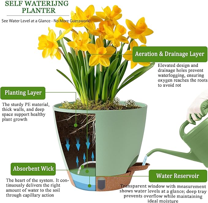 Self Watering Pots for Inoor Ourdoor Plants 8/7/6.5/6/5 Inch Plastic Planters with Drainage Holes & Water Level Indicator, Decorative House Flower Nursery Planting Pots with Saucers(Green)