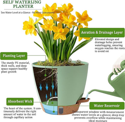 Self Watering Pots for Inoor Ourdoor Plants 8/7/6.5/6/5 Inch Plastic Planters with Drainage Holes & Water Level Indicator, Decorative House Flower Nursery Planting Pots with Saucers(Green)