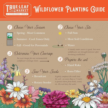 All Annual Wildflower Mix Seeds for Planting - 4 Oz ~4,000+ Seeds - 21 Varieties Including California, Indian Blanket, Scarlet Flax, & More - Attracts Pollinators - Bulk Wildflower Seed