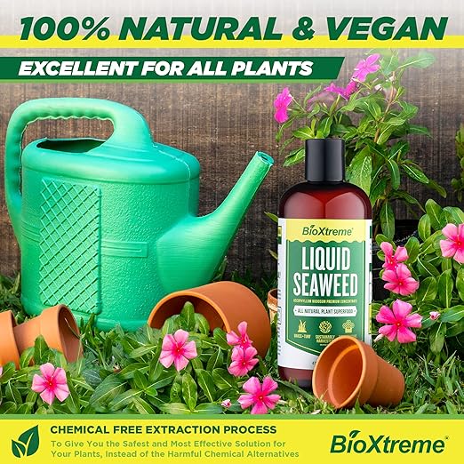 Liquid Seaweed Premium Concentrate - All Natural Kelp Fertilizer - Enhances Plant & Flower Growth + Seed Germination & Root Development - 16 Oz