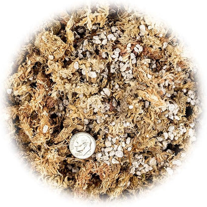 GARDENERA Sphagnum Moss Potting Mix for Carnivorous Plants, Moss and Perlite Blend for Potting Venus Fly Traps, Sarracenia, Pitcher Plants - 75% Sphagnum Moss + 25% Perlite - Made in USA - 4 Quart