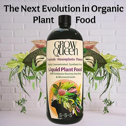 Organic Liquid Indoor Plant Food, Houseplant, Tropical & All-Purpose Indoor Plant Fertilizer, Organic Liquid Fertilizer 5-5-5 with Sea Kelp, 8oz Treats 50 Gallons