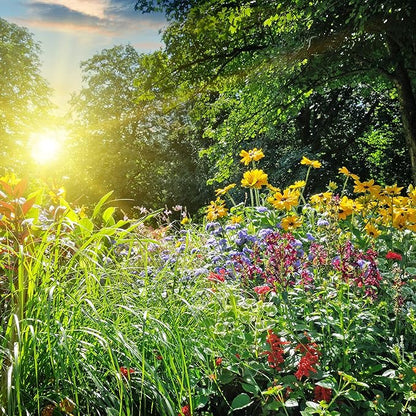 African Marigold Flower Garden Seeds - Discovery Series F1 - Mix - 1000 Seeds - Annual Flower Gardening Seed - Tagetes erecta