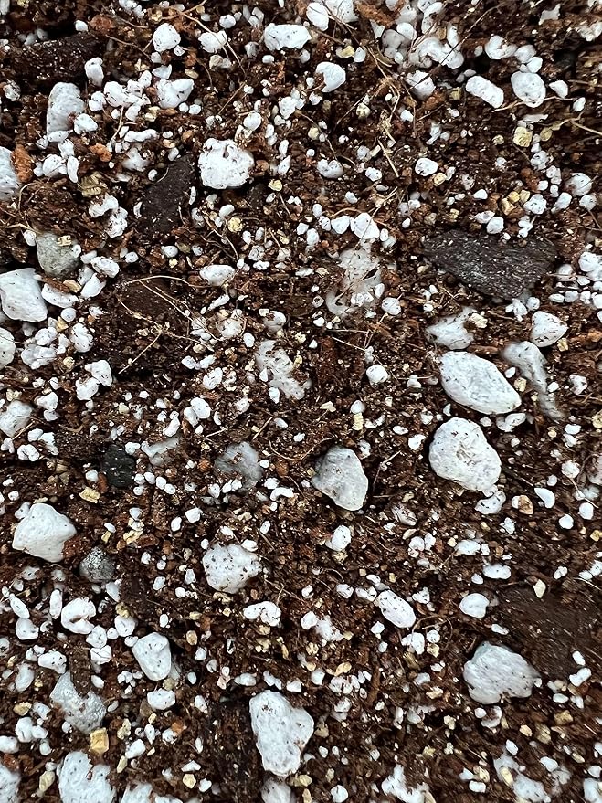 rePotme Succulent Soil (Standard Bag, Christmas Cactus)