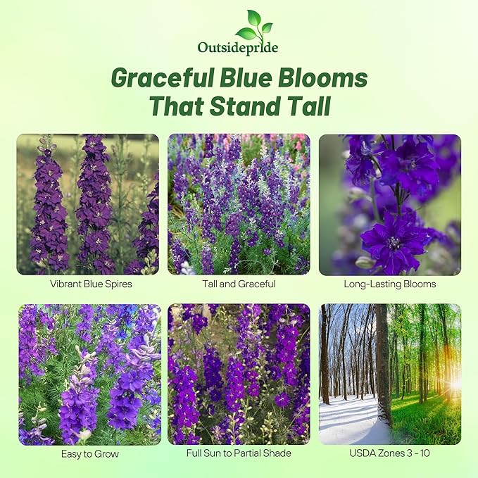 Outsidepride Delphinium Blue Larkspur Seeds for Planting Outdoors - 1000 Pcs Annual, Self-Seeding, Heat & Drought Tolerant Wildflower Seeds, Colorful Blooms for Flower Arrangement & Pollinator Garden
