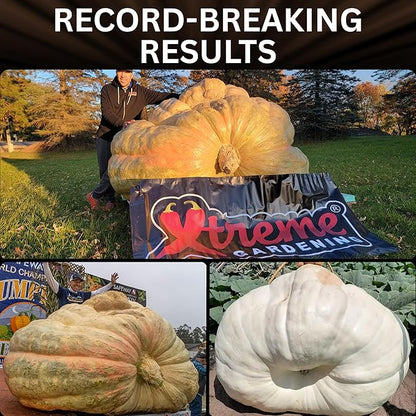 Xtreme Gardening Mykos 100g/3.5oz | Concentrated Mycorrhizal Fungi Root Stimulator for Plants | Organic Mycorrhizae Root Booster for Stronger Roots & Bigger Growth