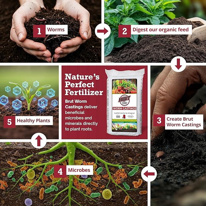 Brut Organic Worm Castings for Plants 30 LB – Natural Nutrients, Fertility Builder, Plant Food for Potting Soil and Garden Soil – Indoor and Outdoor Use