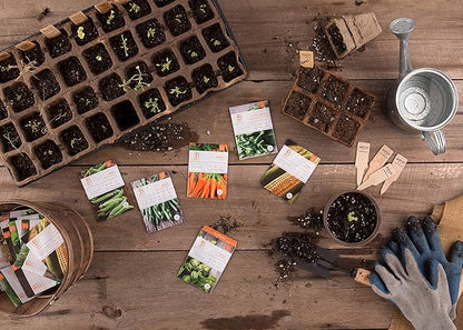 Vegetable and Herb Seeds Variety Pack for Home Garden Planting, AB
