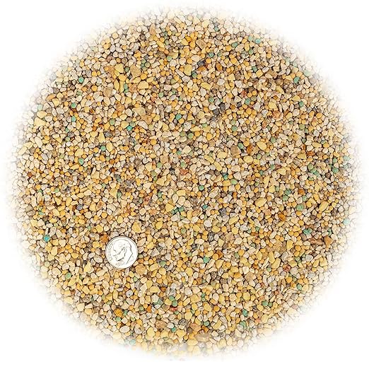 Premium 8-4-8 Professional Palm Tree Fertilizer Plant Food |Indoor Potted Plants and Outdoor Landscape Palm Trees | Quick-Release Nitrogen Fertilizer and Continuous Feeding (3 Quarts)