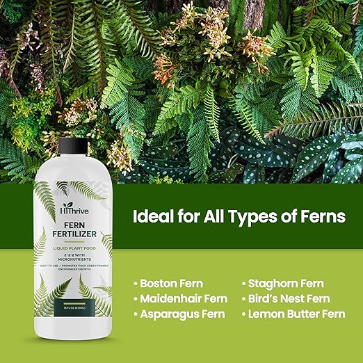 16oz Fern Fertilizer for Live Ferns - Makes 32 Gallons of Fertilizer for Ferns, Indoor Plant Food for Greener Growth and Dense, Resilient Fronds with Intricate Texture - Ideal for All Fern Plant Live