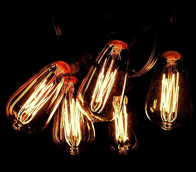 Hometown Evolution, Inc. Commercial Edison Bulb Outdoor String Lights with Hand-Threaded Filament (ST40 Lantern Edison - Commercial Black Wire, 100 ft)