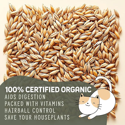 Whetagrass Kits (Wheatgrass Grow Kit - Custom Box)