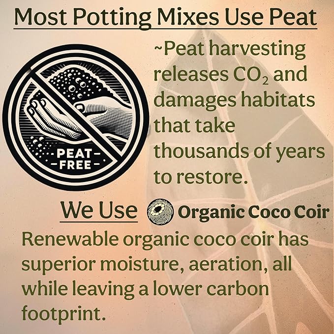 Craft Aroid Potting Mix- Elite Organic Alocasia, Philodendron, Monstera Soil Mix, Chunky, Well Draining Potting Soil for Indoor Plants, All Tropical Plants & Houseplants, Sustainable & Peat Free 8QT