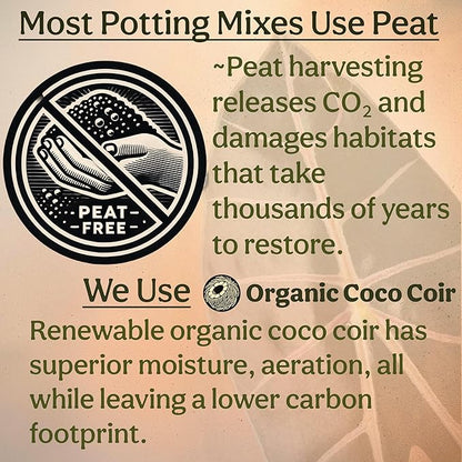 Craft Aroid Potting Mix- Elite Organic Alocasia, Philodendron, Monstera Soil Mix, Chunky, Well Draining Potting Soil for Indoor Plants, All Tropical Plants & Houseplants, Sustainable & Peat Free 8QT