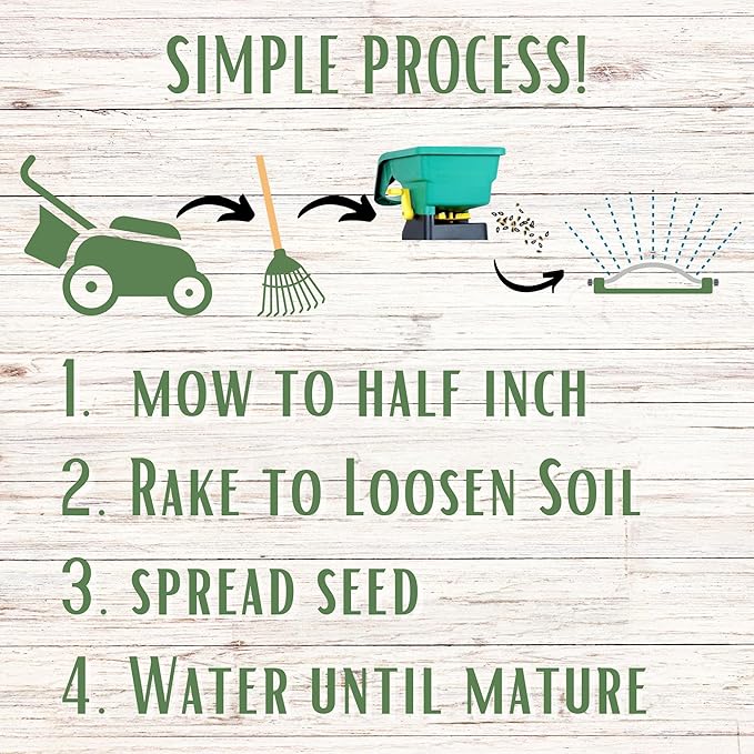 Flawn Seed Kits Dutch White Clover Seeds Organic Coated, 11 Lbs, Natural Lawn, Ground Cover, Hunting Food Plot, Covers up to 40,000 Sqft