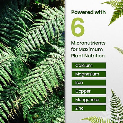 16oz Fern Fertilizer for Live Ferns - Makes 32 Gallons of Fertilizer for Ferns, Indoor Plant Food for Greener Growth and Dense, Resilient Fronds with Intricate Texture - Ideal for All Fern Plant Live