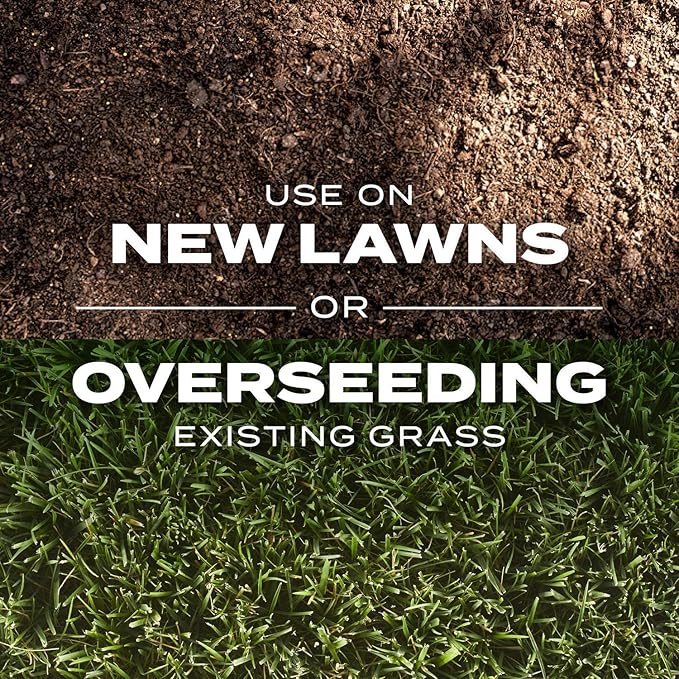 Scotts Turf Builder Rapid Grass Tall Fescue Mix, Combination Grass Seed and Fertilizer, Grows Green Grass in Just Weeks, 16 lbs.