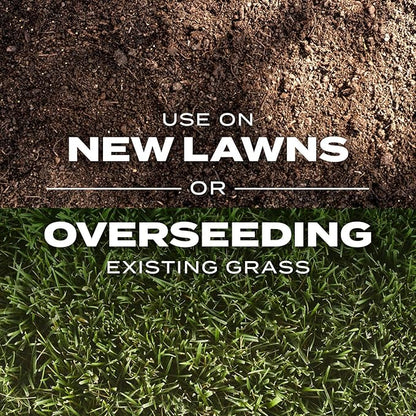 Scotts Turf Builder Rapid Grass Tall Fescue Mix, Combination Grass Seed and Fertilizer, Grows Green Grass in Just Weeks, 16 lbs.