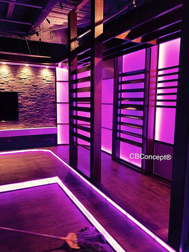 CBconcept UL Listed, 30 Feet, Super Bright 8100 Lumen, Pink, Dimmable, 110-120V AC Flexible Flat LED Strip Rope Light, 540 Units 5050 SMD LEDs, Indoor Outdoor Use, Ready to use