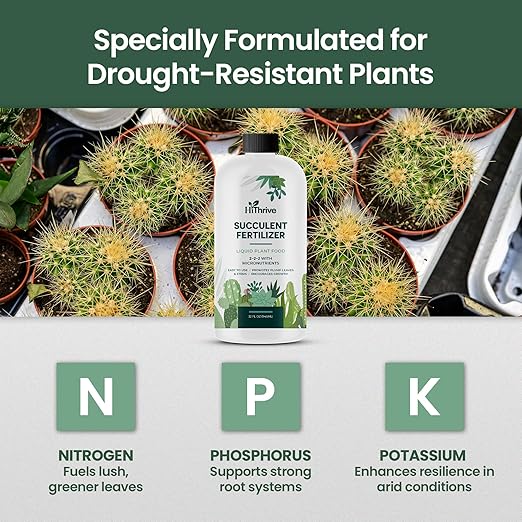32oz Succulent Fertilizer - Makes 64 Gallons of Succulent Plant Food for Succulents Plants Live, Liquid Fertilizer for Succulents - Promotes Vibrant Leaves, Resilient Roots, and Plump Growth