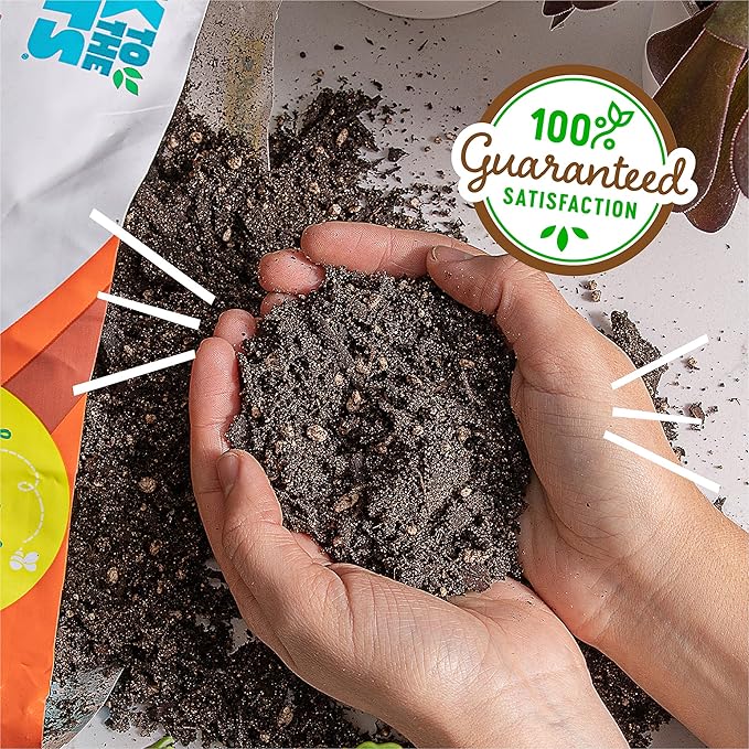 Back to The Roots 100% Organic Succulent & Cacti Mix (Value 12 Quart) | Made in The USA