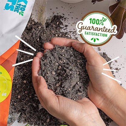 Back to The Roots 100% Organic Succulent & Cacti Mix (Value 12 Quart) | Made in The USA
