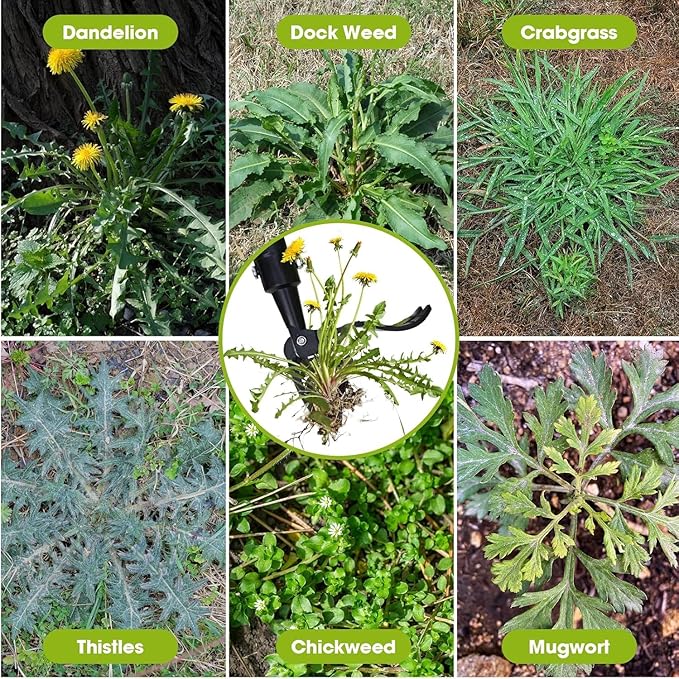 Weed Puller Tool, 2-in-1 Stand Up Weeder with 4-Claw Head & Rake, No Tools Required Assembly, Gets Rid of Weeds & Roots Permanently for a Pristine Lawn