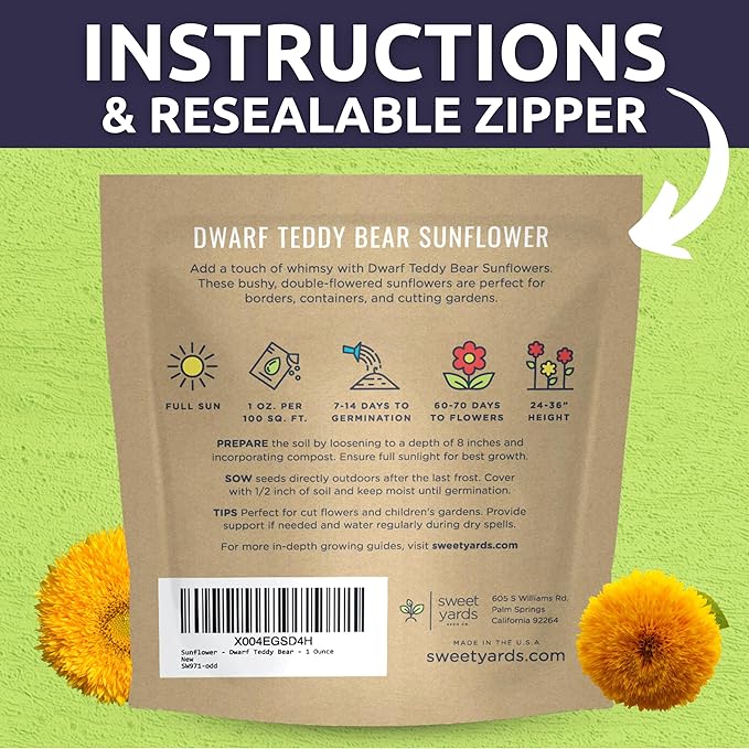 Dwarf Teddy Bear (Sungold) Sunflower - Large 1 Ounce Packet - 1,250 Flower Seeds for Planting - Helianthus annuus