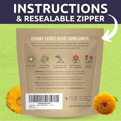 Dwarf Teddy Bear (Sungold) Sunflower - Large 1 Ounce Packet - 1,250 Flower Seeds for Planting - Helianthus annuus