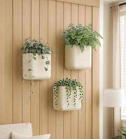 Phoenix Vine 6.5-Inch Wall Mounted Self-Watering Planter Pot for Indoor Houseplants and Herbs | Hanging Planter for Window Sills, Bathroom Walls, Home & Office Décor, Oatmeal, Set of 3, 01-WP-D-3