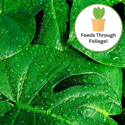 Monstera Foliar Food Spray by Perfect Plants | Natural Indoor Plant Mist for Garden Foliage | 10-0-10 Fertilizer Nutrient Blend (8 fl oz)